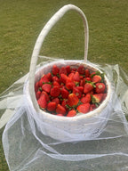 Strawberry اسٹرابیری