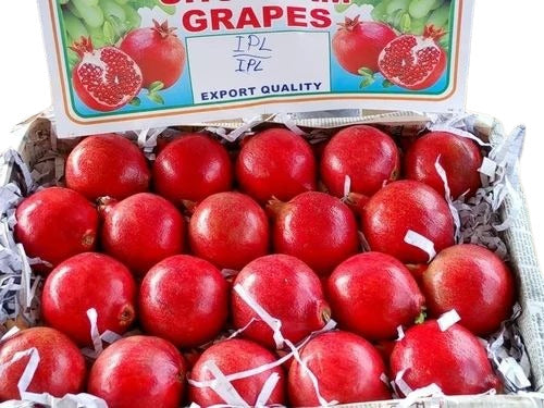 Pomegranates انار