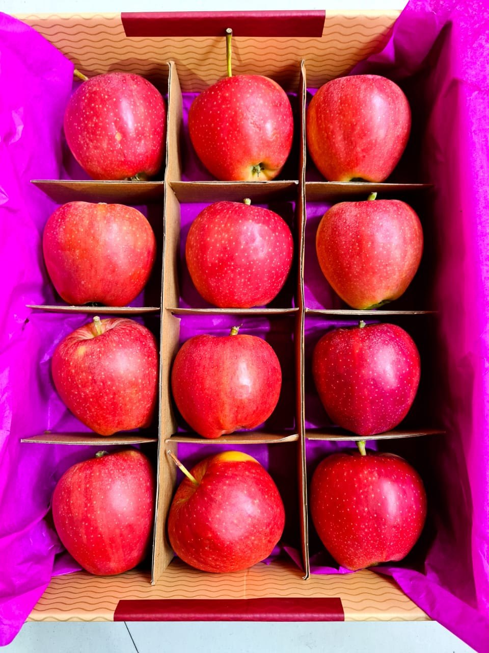 Apples سیب