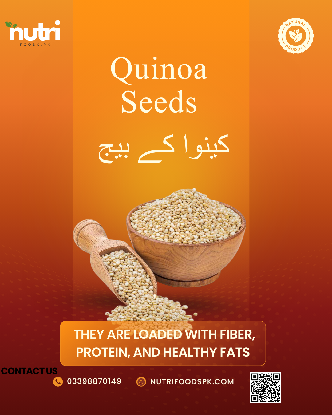 Quinoa Seeds کینوا کے بیج