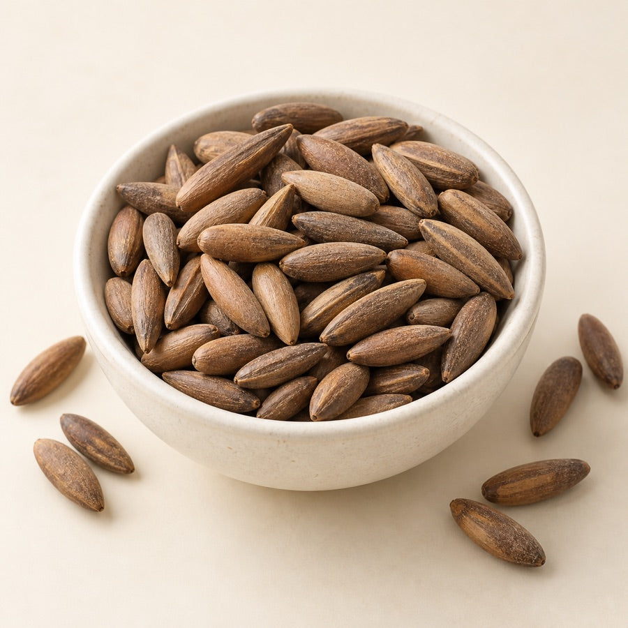 Chilghoza — چلغوزہ